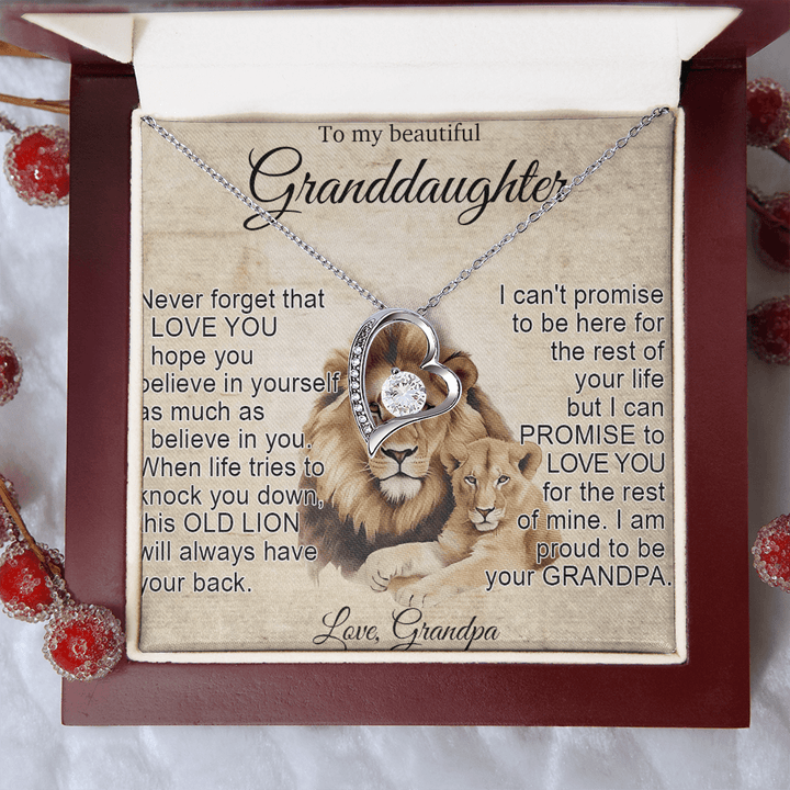 To My Granddaughter - Forever love Necklace - "This Old Lion Has Your Back" - The Love Sparkle