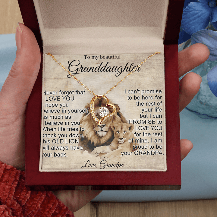 To My Granddaughter - Forever love Necklace - "This Old Lion Has Your Back" - The Love Sparkle