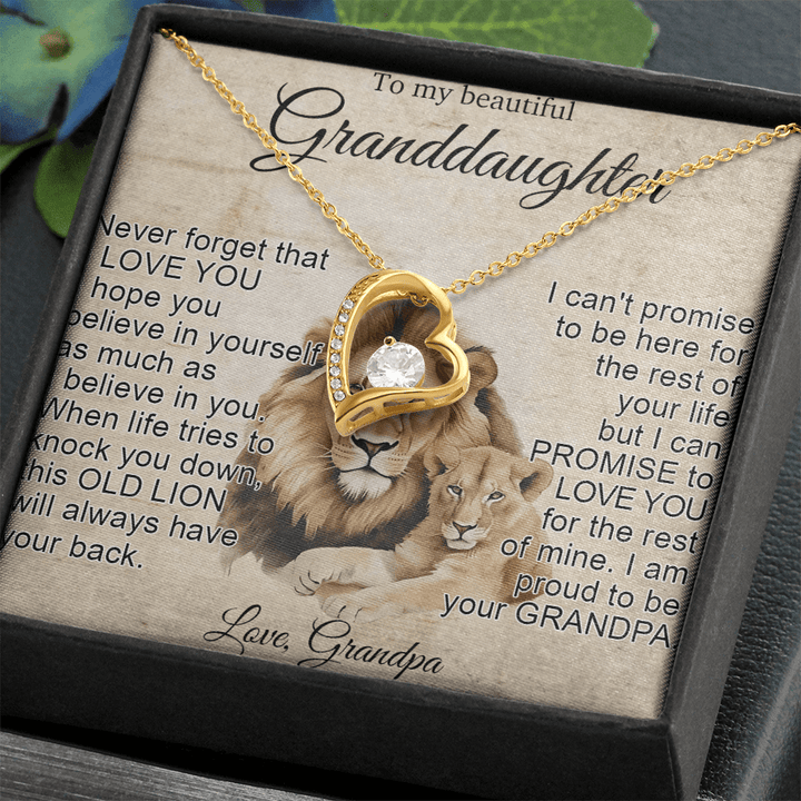 To My Granddaughter - Forever love Necklace - "This Old Lion Has Your Back" - The Love Sparkle