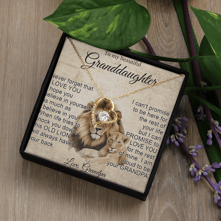 To My Granddaughter - Forever love Necklace - "This Old Lion Has Your Back" - The Love Sparkle